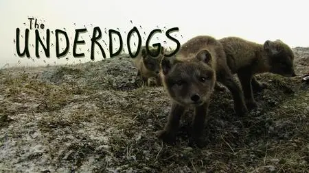 The Underdogs (2017)