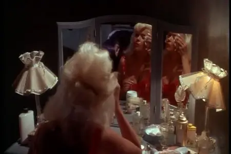 Single Room Furnished (1968)