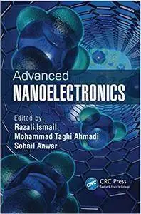 Advanced Nanoelectronics (Repost)
