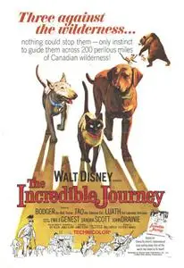 The Incredible Journey (1963) [Repost]