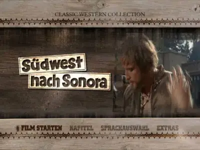 The Appaloosa (1966)