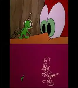 The Woody Woodpecker Screwball Collection (1940-1961)