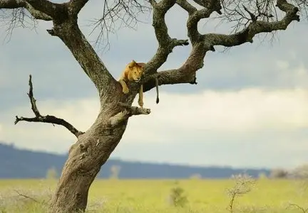 World In Photo 242