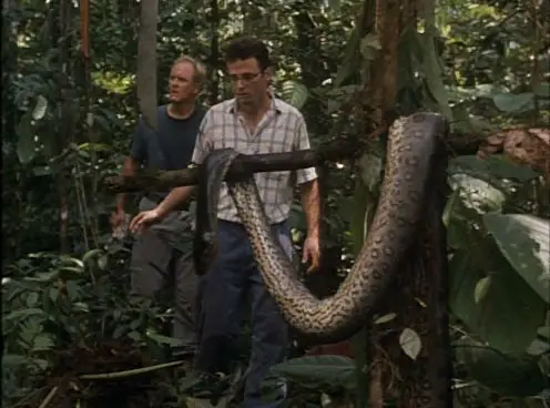 At Play in the Fields of the Lord - by Hector Babenco (1991)