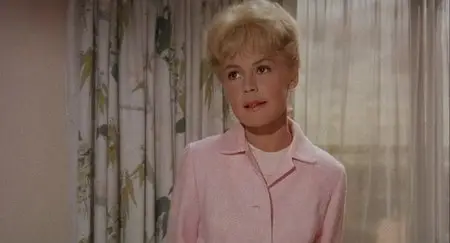 Tammy and the Doctor (1963)