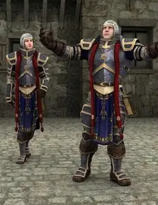 Paladin and Paragon Expansion
