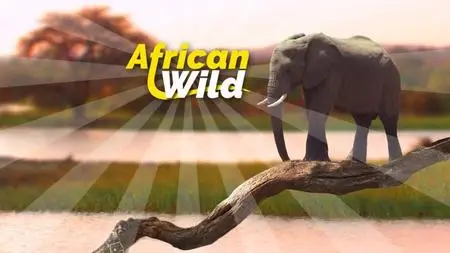 Discovery Channel - African Wild (2011)