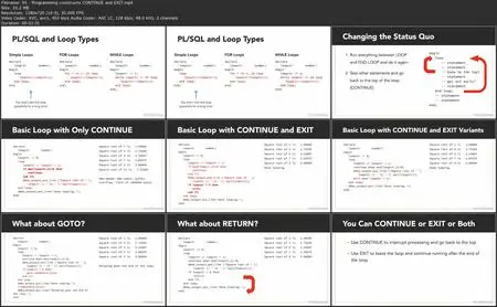 Oracle Database 19c: PL/SQL [Updated: 2/29/2024]