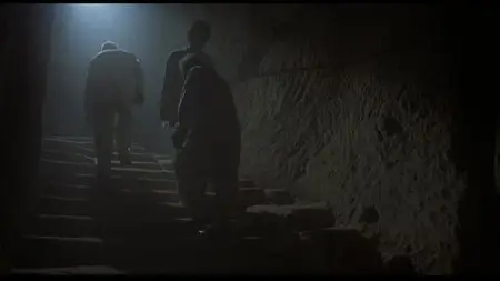 Midnight Express (1978) [30th Anniversary Edition]