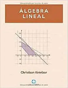 Álgebra Lineal (Cálculo Ingeniería) (Spanish Edition)