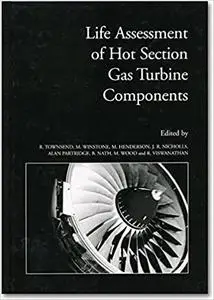 Life Assessment of Hot Section Gas Turbine Componets