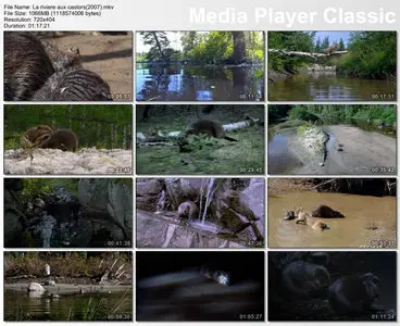 Mèche Blanche, les aventures du petit castor (2008)