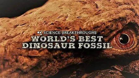 CuriosityStream - Worlds Best Dinosaur Fossil (2017)