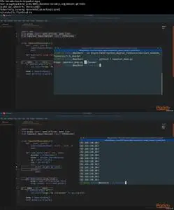 Python Digital Forensics