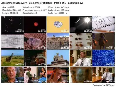 Assignment Discovery - Elements of Biology - Evolution