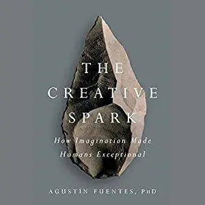 The Creative Spark: How Imagination Made Humans Exceptional [Audiobook]