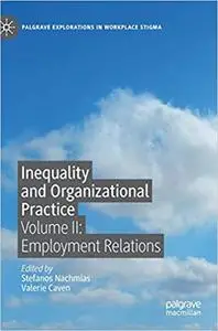 Inequality and Organizational Practice: Volume II: Employment Relations