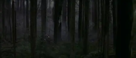 Rambo First Blood (1982)
