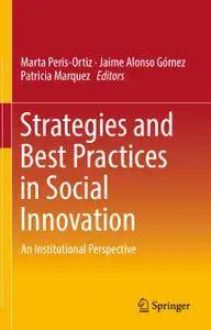 Strategies and Best Practices in Social Innovation: An Institutional Perspective