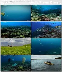 National Geographic - Wild Pacific Ocean Paradise (2010)