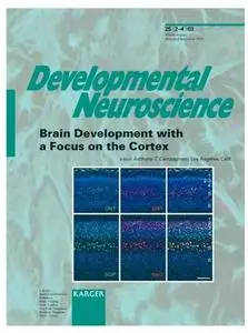 Brain Development with a Focus on the Cortex