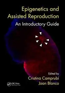 Epigenetics and Assisted Reproduction: An Introductory Guide