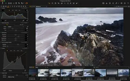 Capture One Pro 9.2.1.17 Multilingual (x64)