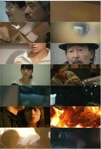 Radiance (2017) Hikari