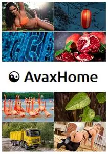 AvaxHome Wallpapers Part 51