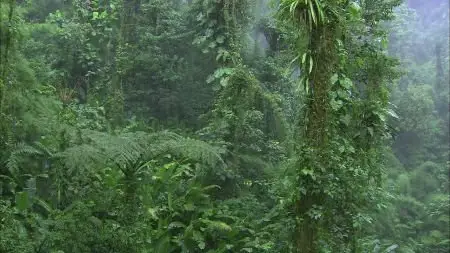 Living Landscapes: Earthscapes - Costa Rica