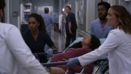 Grey's Anatomy S18E20