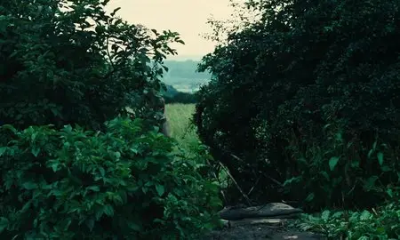 Kes (1969)