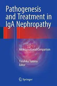 Pathogenesis and Treatment in IgA Nephropathy