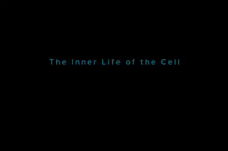 Harvard BioVisions – The Inner Life Of The Cell