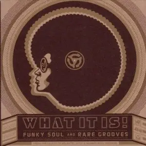 VA - What It Is! Funky Soul and Rare Grooves from the Vaults of Atlantic, Atco & Warner Bros. Records (Lossless) (2006)