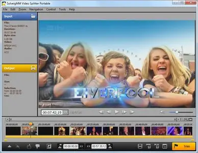 SolveigMM Video Splitter 3.0.1201.19 Final Portable