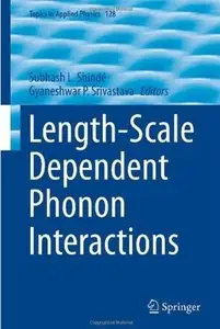 Length-Scale Dependent Phonon Interactions [Repost]