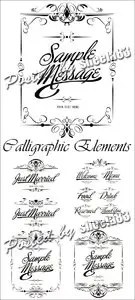 Calligraphic Text Design Elements Vector