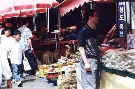The Future of Food (2004) 