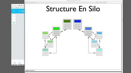 Laurent Bourrelly - Full Force Seo French