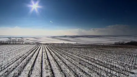 ORF - Land of a Thousand Vineyards (2009)