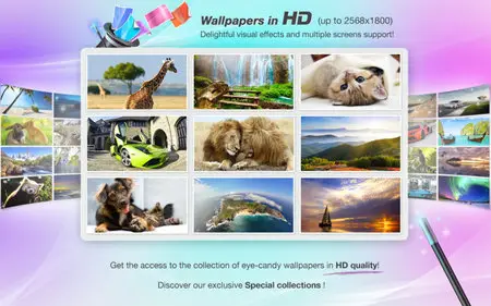 Wallpaper Wizard: HD Wallpapers Collection 1.4.1