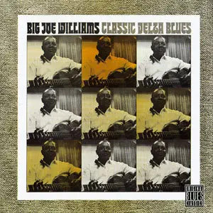 Big Joe Williams - Classic Delta Blues (1966)