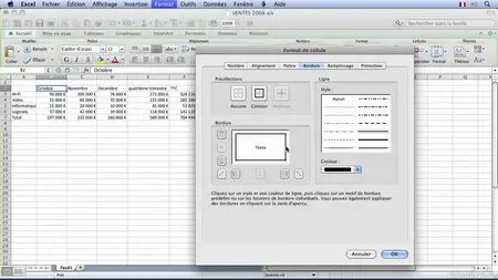 Excel 2011 pour Mac : Les indispensables