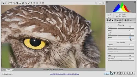 Photoshop CC Raw Workshop (2013) [repost]