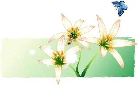 IT Design Flowers & Insects