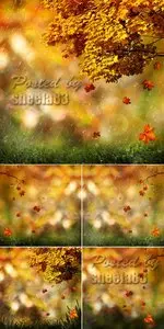 Stock Photo - Autumn Fall & Rain