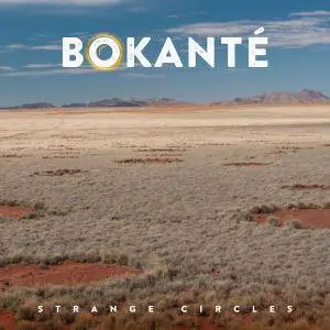 Bokanté - Strange Circles (2017)