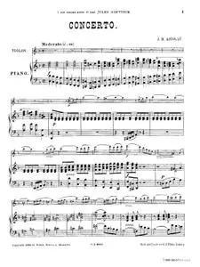 Violin Concerto in D Minor