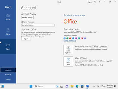 Windows 11 Enterprise 22H2 Build 22621.2070 (No TPM Required) With Office 2021 Pro Plus Multilingual Preactivated